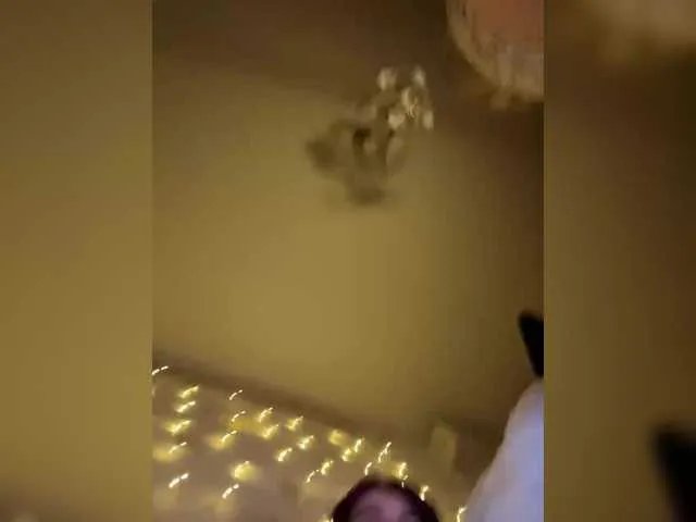 The-best-babies from BongaCams