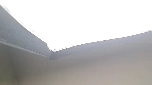 Eloisa_Eloy from StripChat